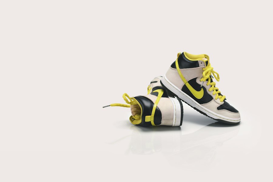 Nike Dunk, worn twice